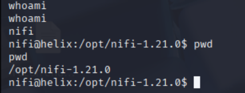 Command shell as the nifi service account